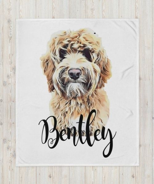 Photo Blanket